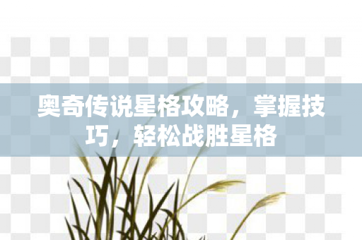 奥奇传说星格攻略，掌握技巧，轻松战胜星格