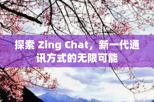 探索 Zing Chat，新一代通讯方式的无限可能