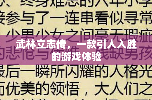 武林立志传，一款引人入胜的游戏体验