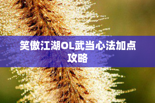 笑傲江湖OL武当心法加点攻略