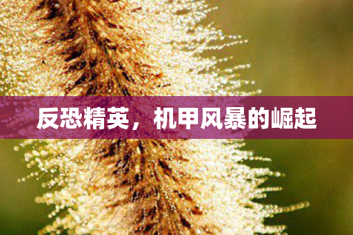 反恐精英，机甲风暴的崛起