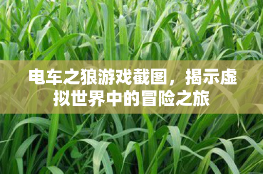 电车之狼游戏截图，揭示虚拟世界中的冒险之旅