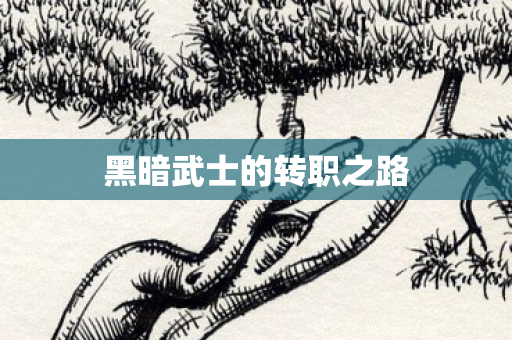 黑暗武士的转职之路