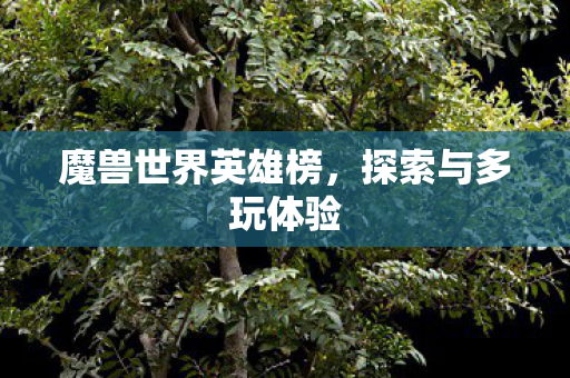 魔兽世界英雄榜,探索与多玩体验 魔兽世界英雄榜,探索与多玩体验