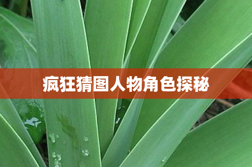 疯狂猜图人物角色探秘