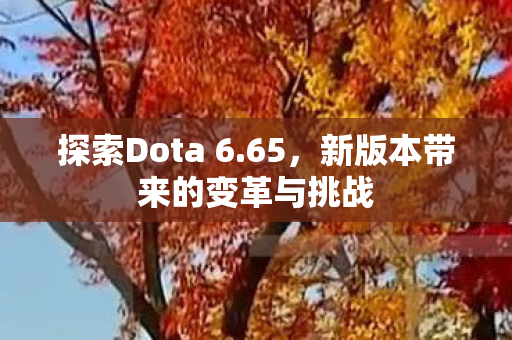 探索Dota 6.65，新版本带来的变革与挑战