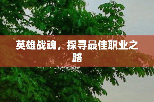 英雄战魂，探寻最佳职业之路