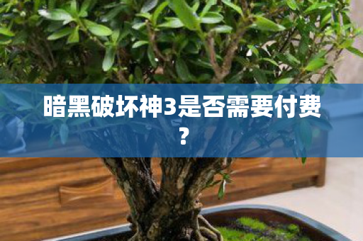 暗黑破坏神3是否需要付费？