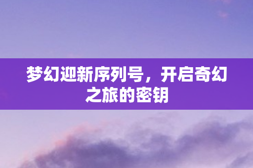 梦幻迎新序列号，开启奇幻之旅的密钥
