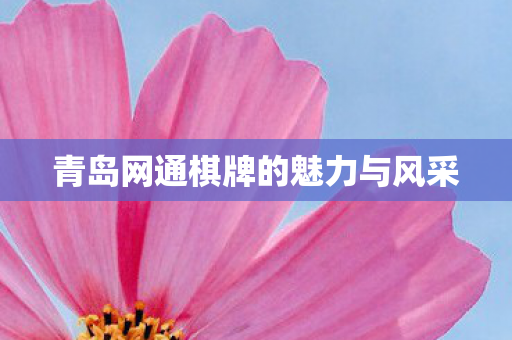 青岛网通棋牌的魅力与风采