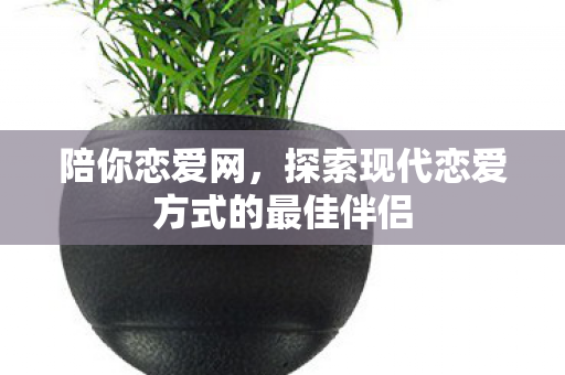 陪你恋爱网，探索现代恋爱方式的最佳伴侣
