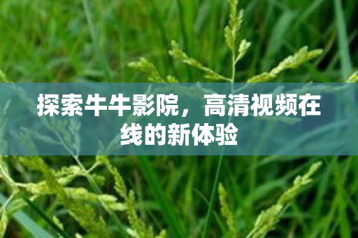 探索牛牛影院，高清视频在线的新体验
