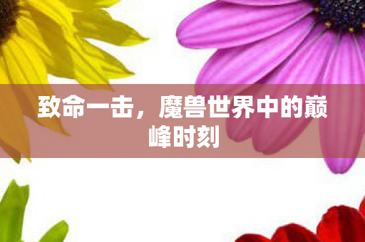 致命一击，魔兽世界中的巅峰时刻