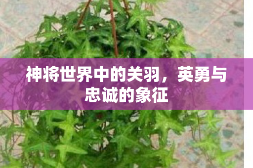 神将世界中的关羽，英勇与忠诚的象征