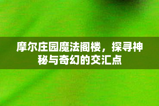 摩尔庄园魔法阁楼，探寻神秘与奇幻的交汇点