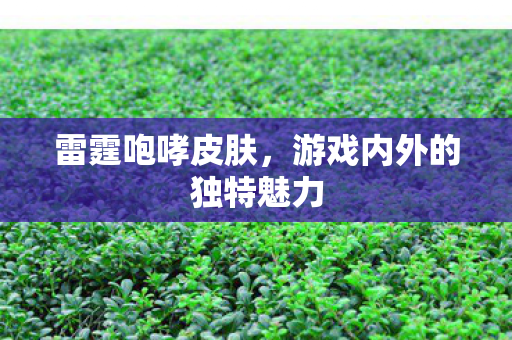 雷霆咆哮皮肤,游戏内外的独特魅力 雷霆咆哮皮肤,游戏内外的独特魅力