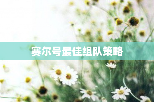 赛尔号最佳组队策略
