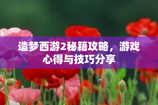 造梦西游2秘籍攻略，游戏心得与技巧分享