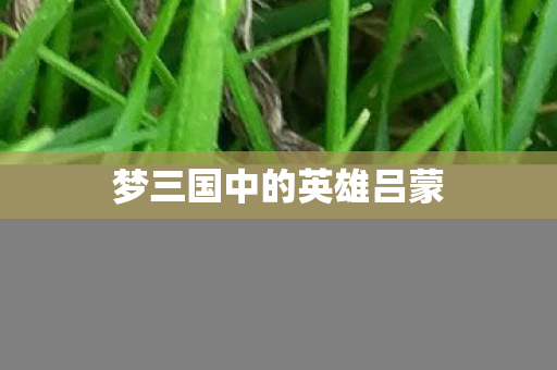 梦三国中的英雄吕蒙