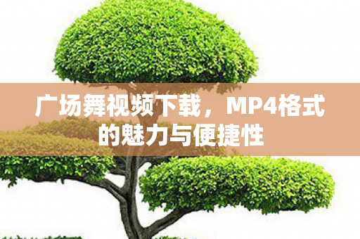 广场舞视频下载，MP4格式的魅力与便捷性