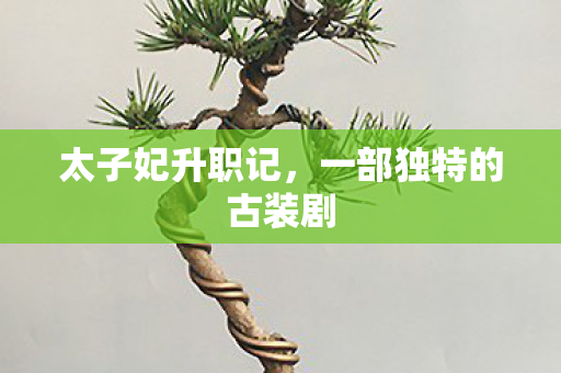 太子妃升职记，一部独特的古装剧