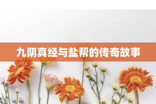 九阴真经与盐帮的传奇故事