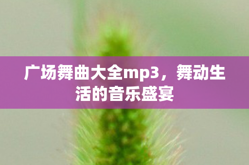 广场舞曲大全mp3，舞动生活的音乐盛宴