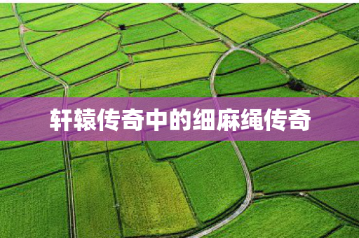 轩辕传奇中的细麻绳传奇