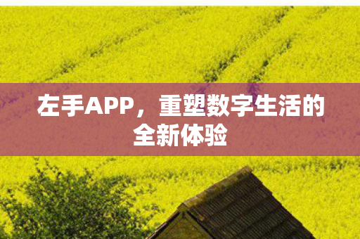 左手APP，重塑数字生活的全新体验