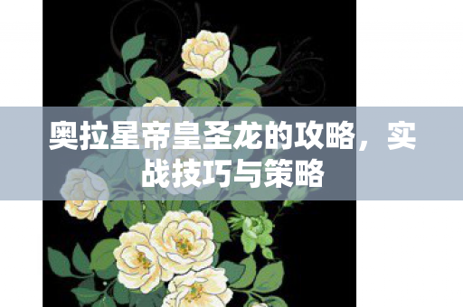 奥拉星帝皇圣龙的攻略，实战技巧与策略