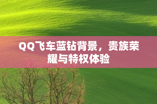 QQ飞车蓝钻背景，贵族荣耀与特权体验