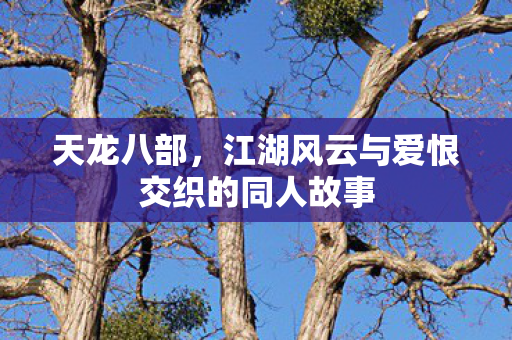 天龙八部，江湖风云与爱恨交织的同人故事