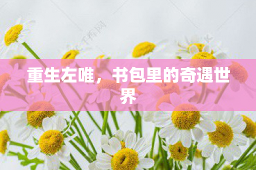 重生左唯，书包里的奇遇世界