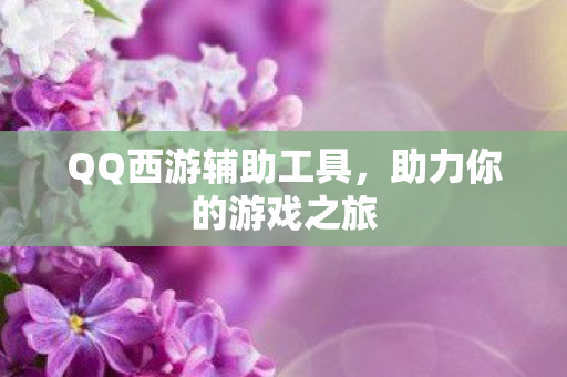 QQ西游辅助工具，助力你的游戏之旅