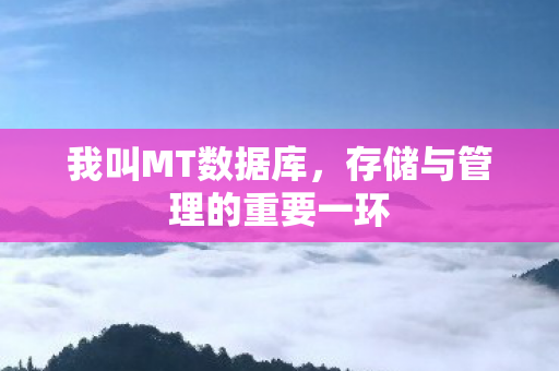 我叫MT数据库，存储与管理的重要一环
