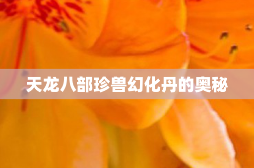 天龙八部珍兽幻化丹的奥秘