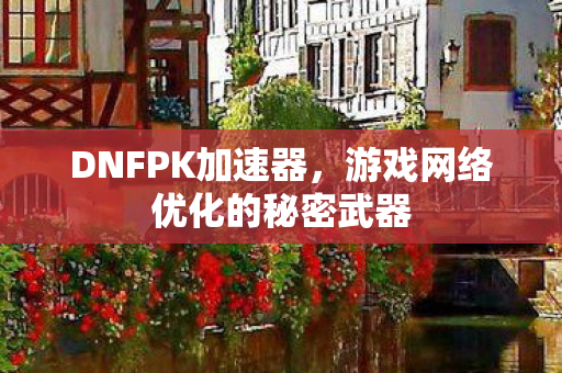 DNFPK加速器，游戏网络优化的秘密武器