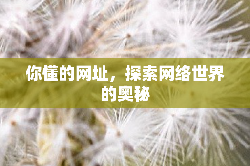 你懂的网址，探索网络世界的奥秘