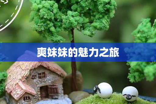 爽妹妹的魅力之旅