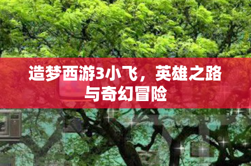 造梦西游3小飞，英雄之路与奇幻冒险