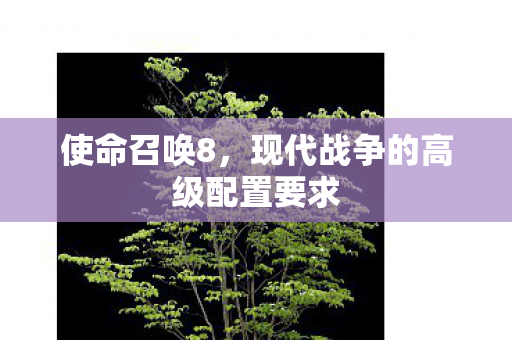 使命召唤8，现代战争的高级配置要求