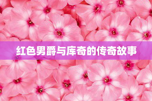 红色男爵与库奇的传奇故事