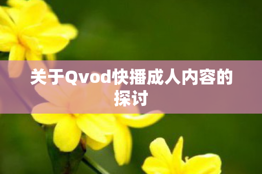 关于Qvod快播成人内容的探讨