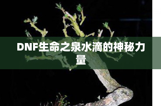 DNF生命之泉水滴的神秘力量