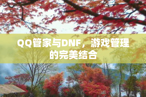 QQ管家与DNF，游戏管理的完美结合