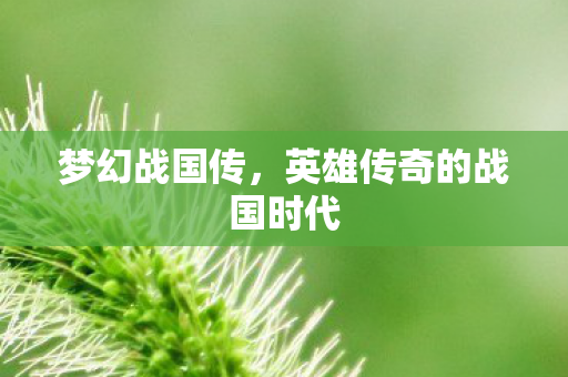 梦幻战国传，英雄传奇的战国时代