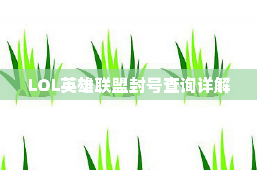 LOL英雄联盟封号查询详解