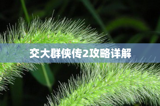 交大群侠传2攻略详解