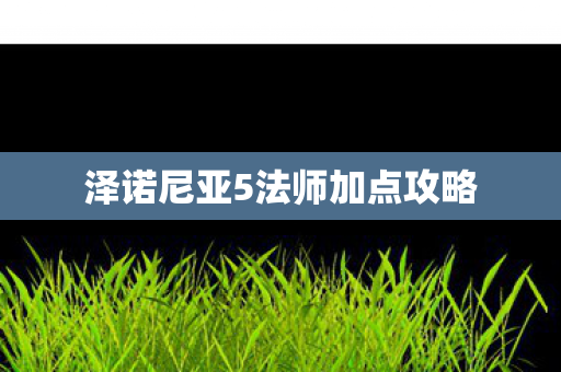 泽诺尼亚5法师加点攻略