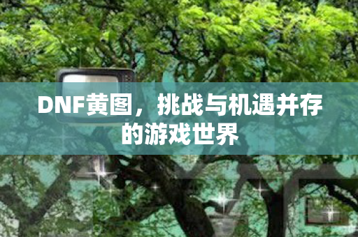 DNF黄图，挑战与机遇并存的游戏世界